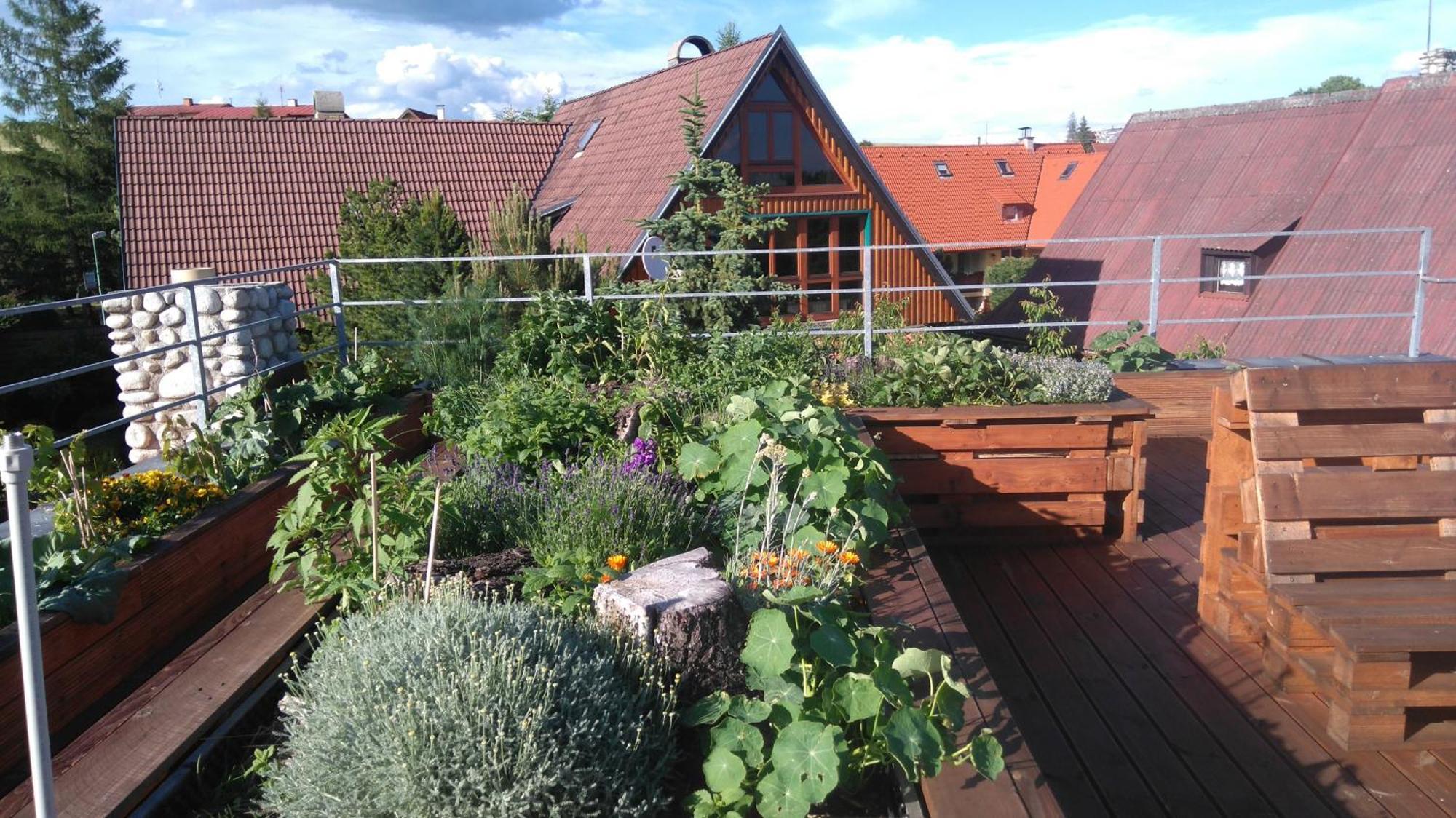 Family House - Apartmany Zuzana Stara Lesna Luaran gambar
